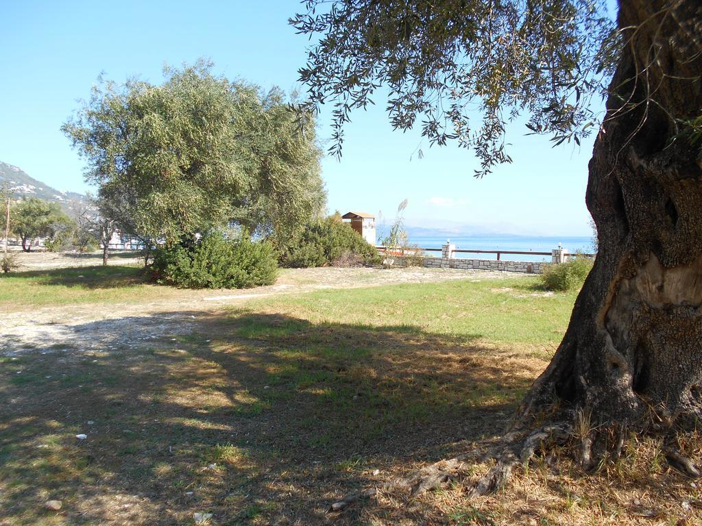 Vila Lukia Barbati Mare Exteriér fotografie