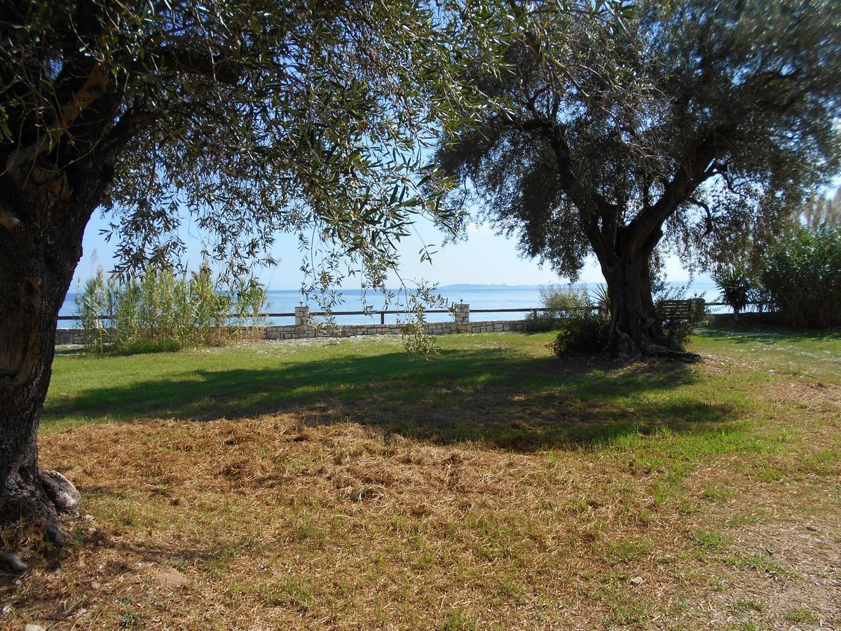 Vila Lukia Barbati Mare Exteriér fotografie